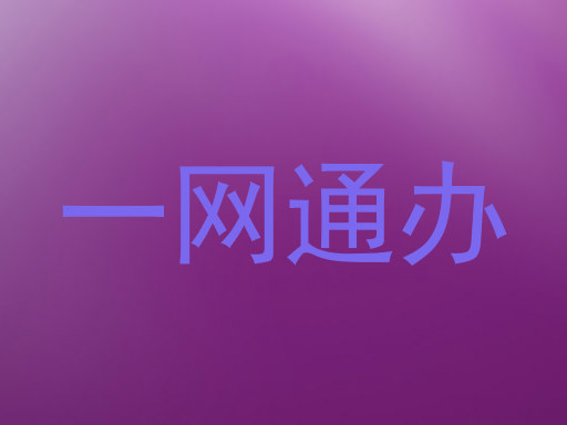 一网通办
