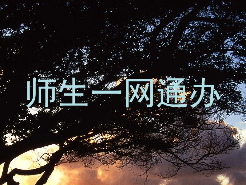 师生一网通办