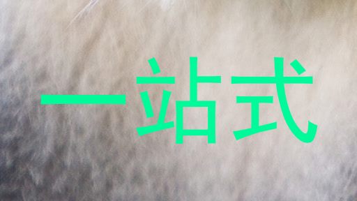 一站式