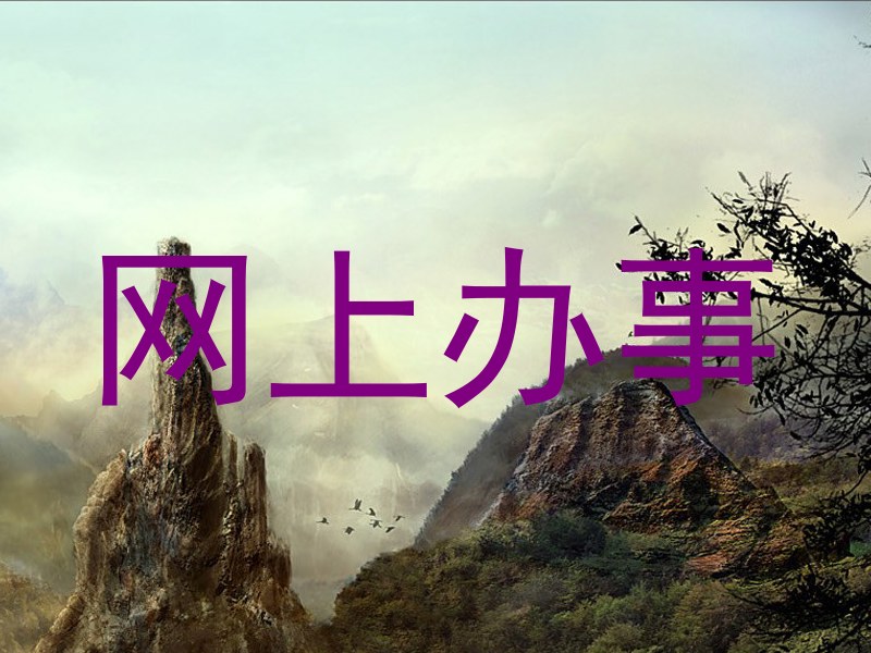 网上办事