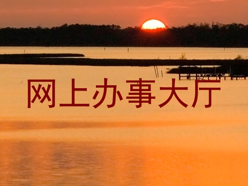 网上办事大厅