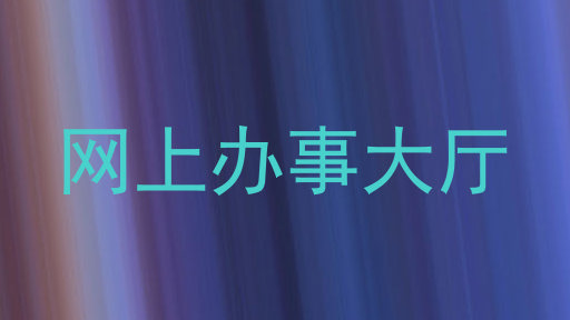 网上办事大厅