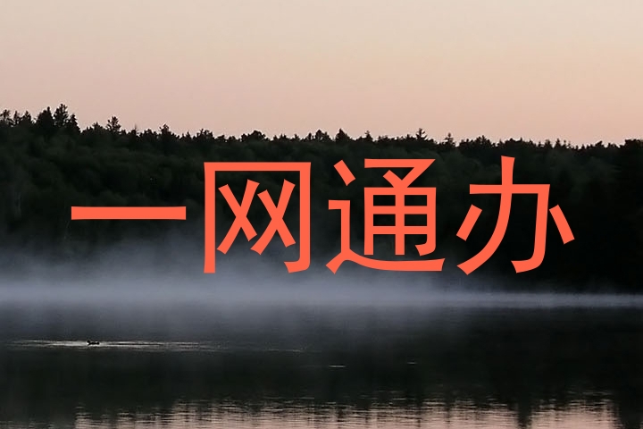 一网通办