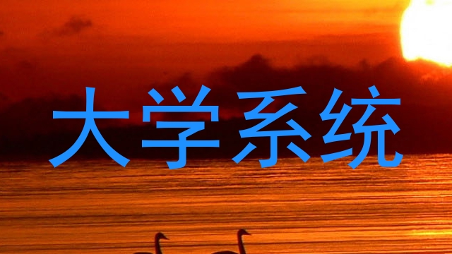 大学系统