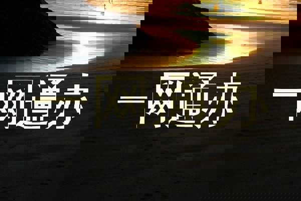 一网通办