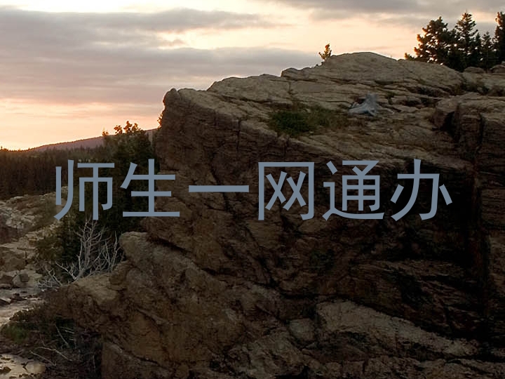 师生一网通办