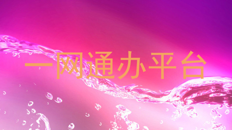 一网通办平台
