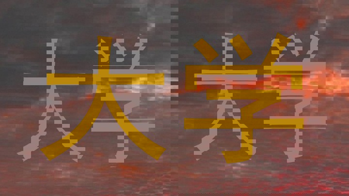 大学