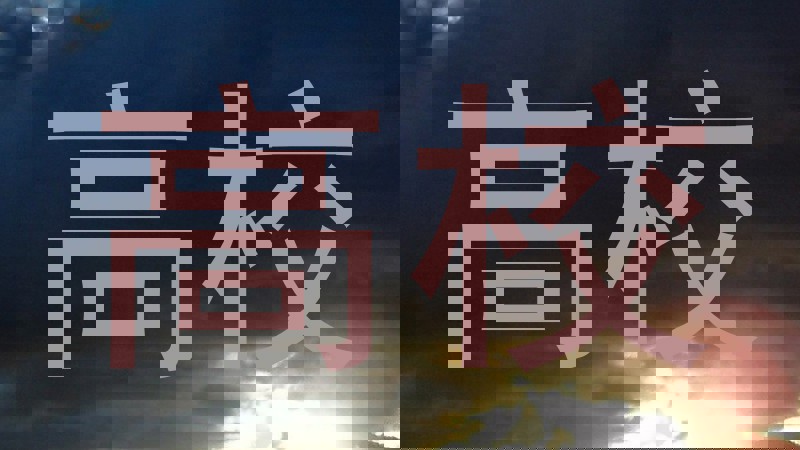 高校