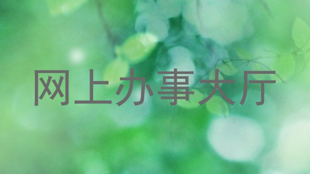 网上办事大厅