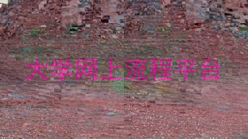 大学网上流程平台