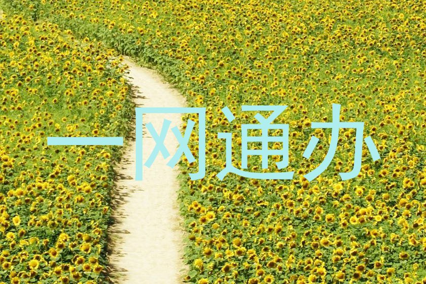 一网通办