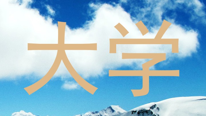 大学