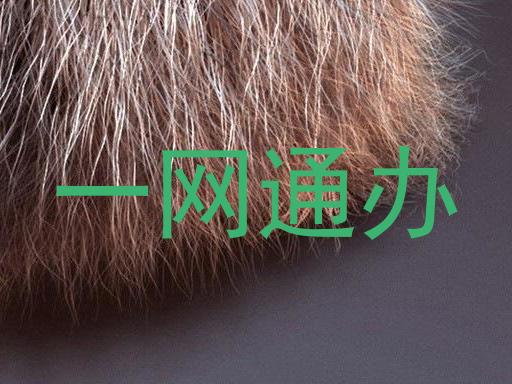 一网通办