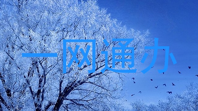 一网通办
