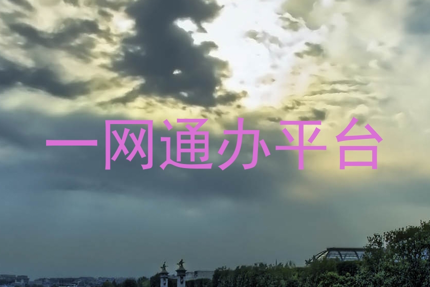 一网通办平台