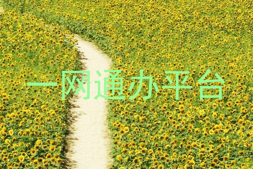 一网通办平台