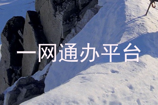 一网通办平台