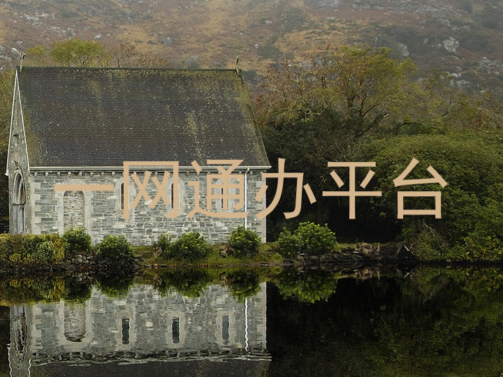 一网通办平台