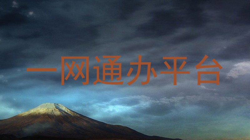 一网通办平台
