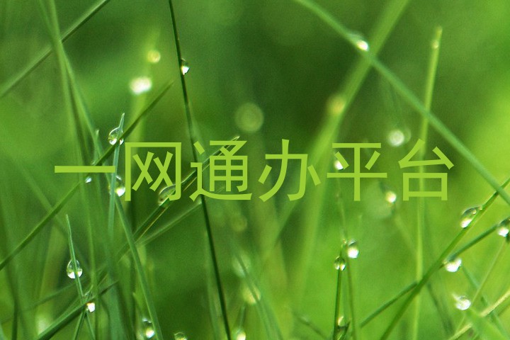 一网通办平台