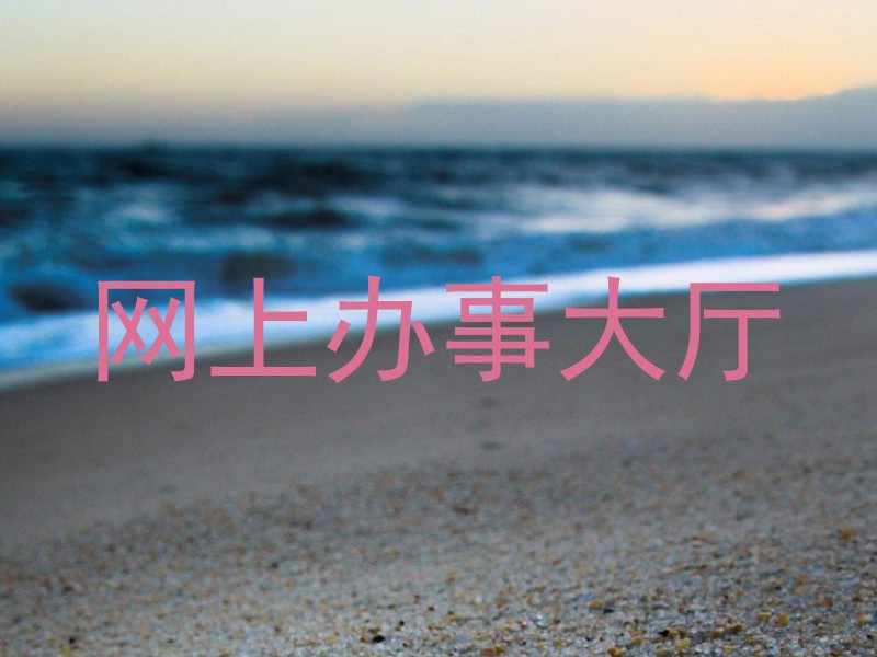 网上办事大厅