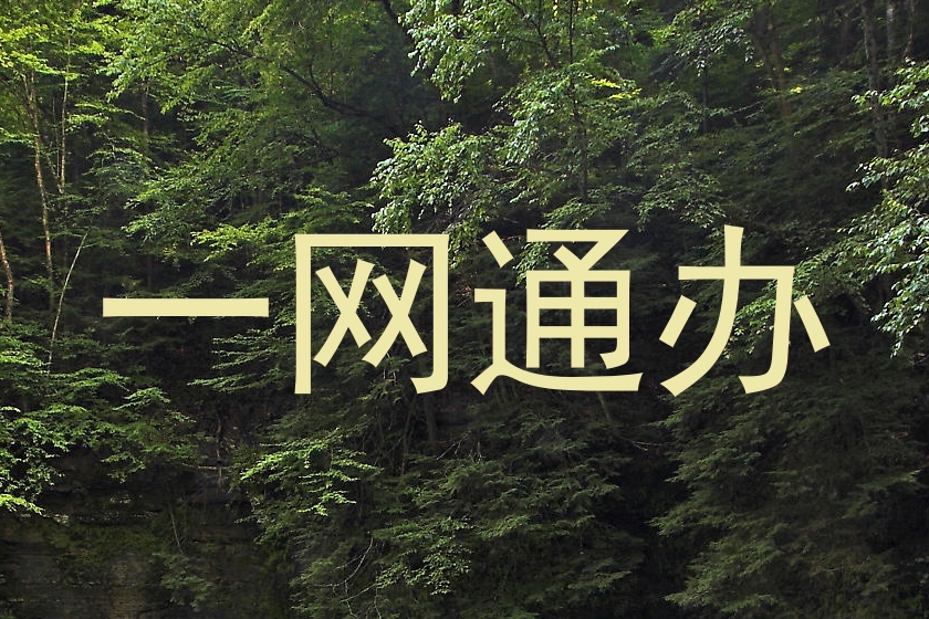 一网通办