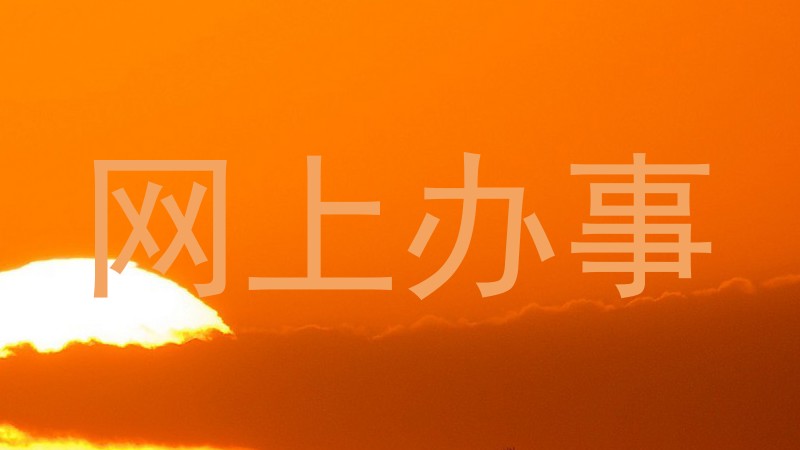 网上办事