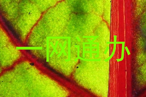 一网通办