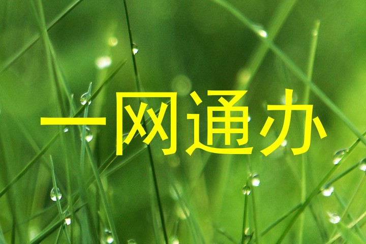 一网通办