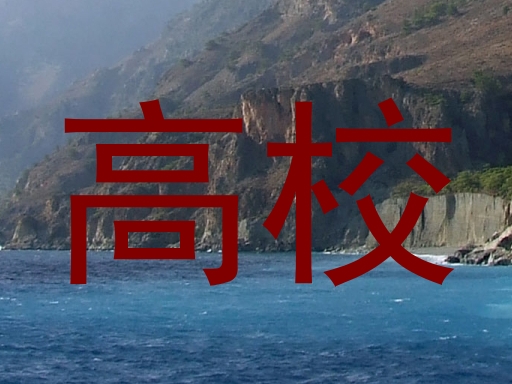 高校