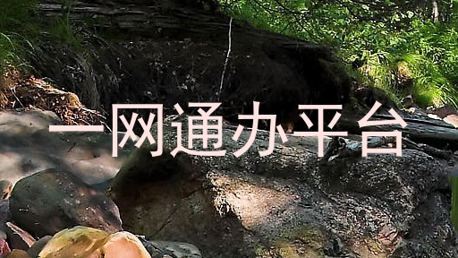 一网通办平台