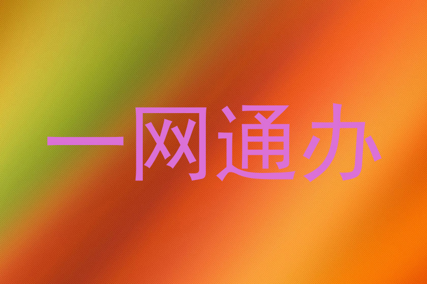 一网通办