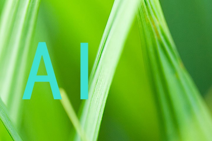 AI