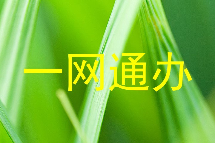 一网通办