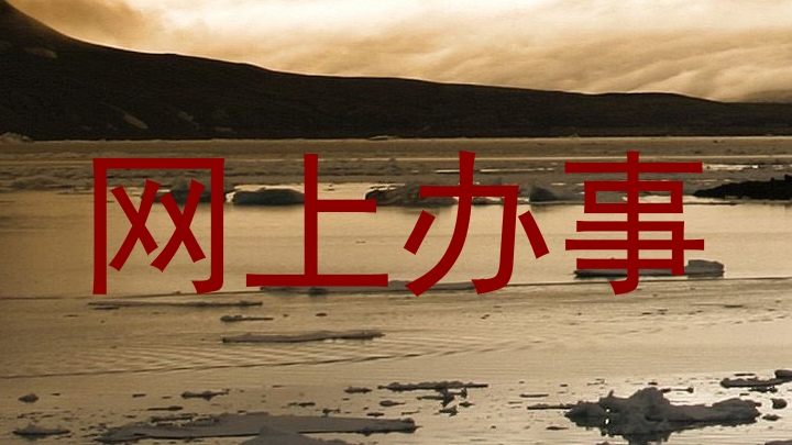 网上办事