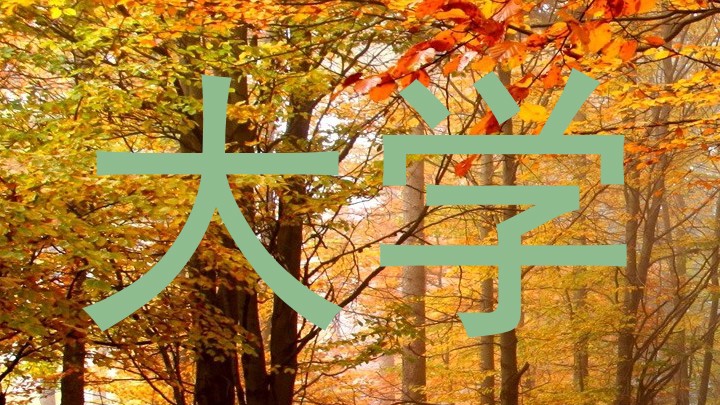 大学