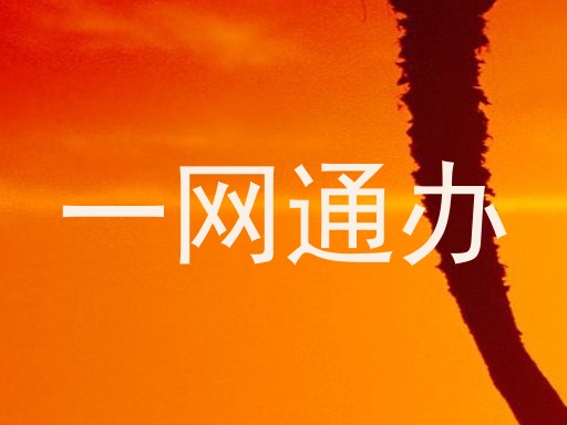 一网通办