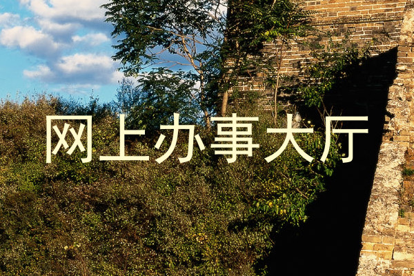 网上办事大厅