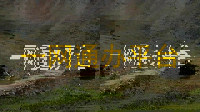 一网通办平台
