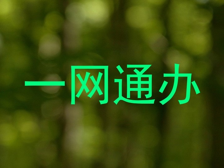 一网通办