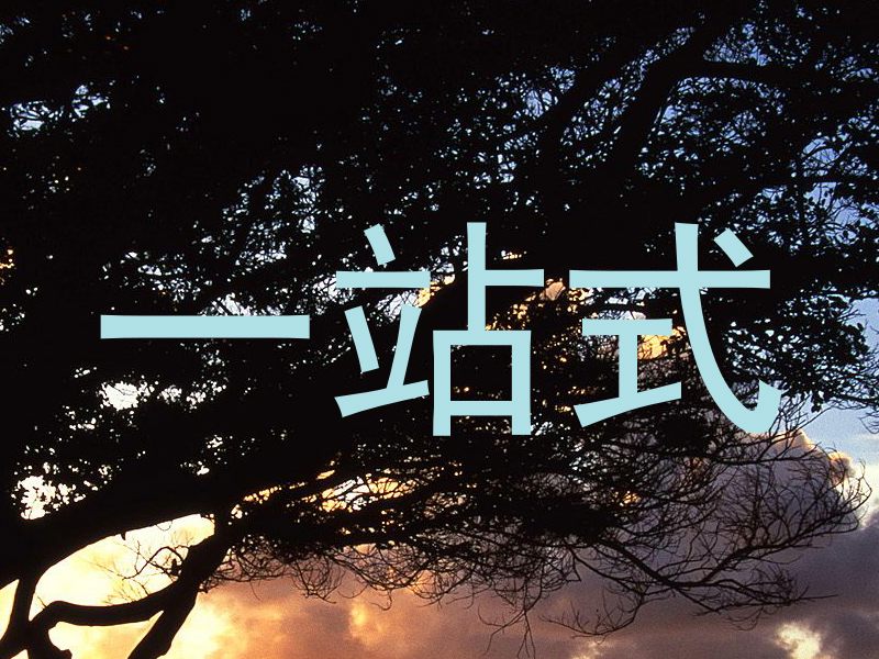 一站式
