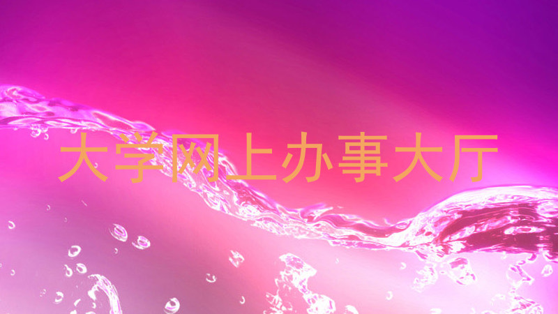 大学网上办事大厅