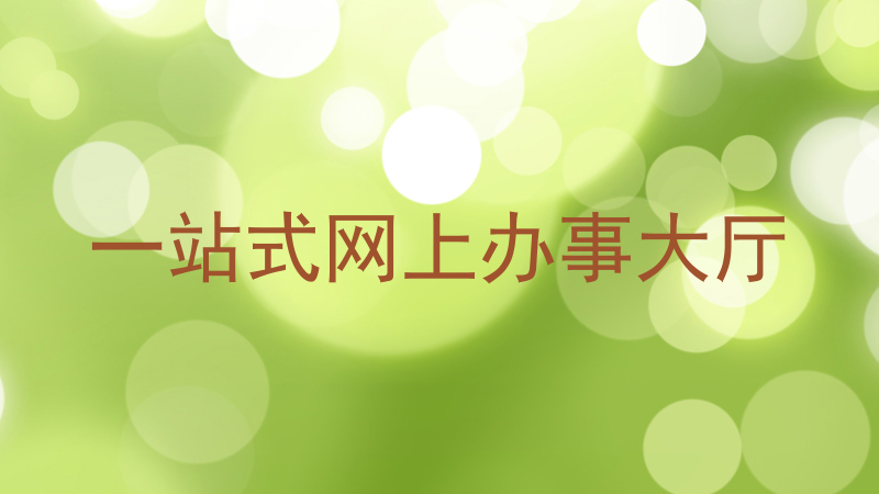 一站式网上办事大厅