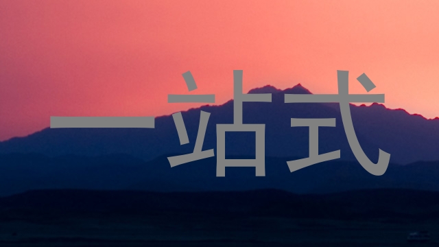 一站式