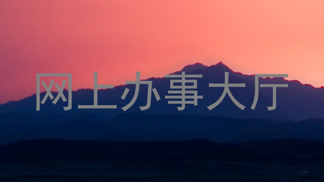 网上办事大厅
