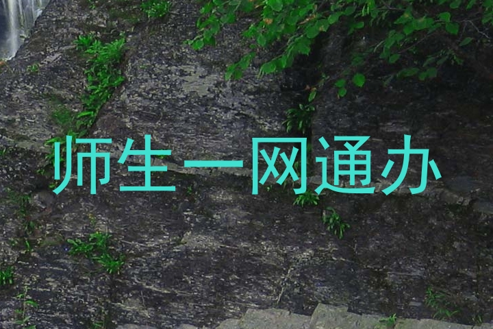 师生一网通办