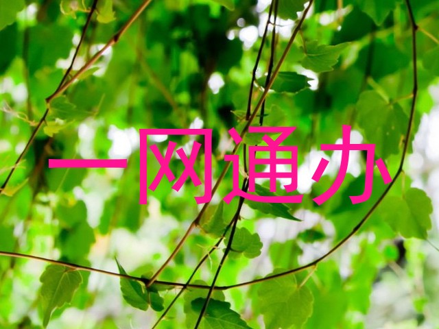 一网通办