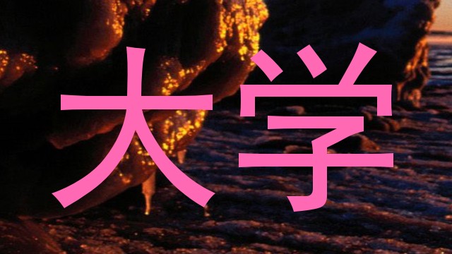 大学