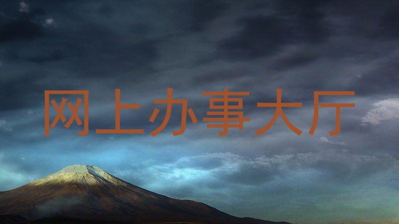 网上办事大厅